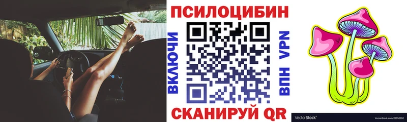 как найти наркотики  Алейск  Псилоцибиновые грибы прущие грибы 